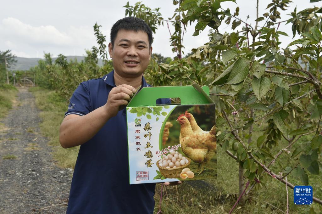 开户就送体验金
